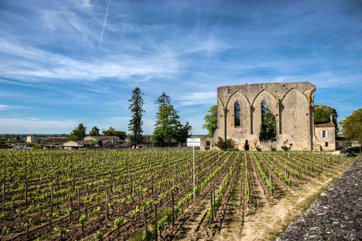 Maison Cosy Avec Vue Sur Les Vignes. Лібурн Екстер'єр фото